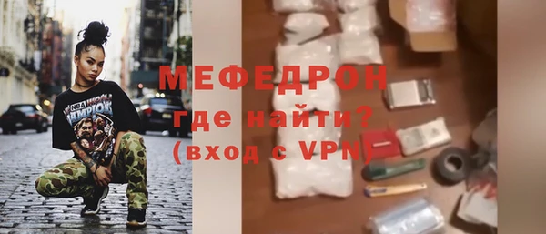гашик Ельня