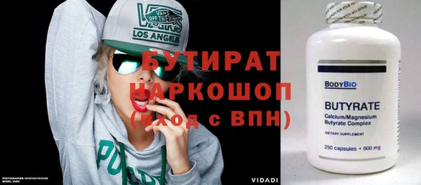 гашик Ельня