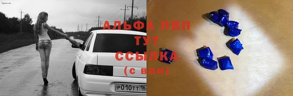 гашик Ельня
