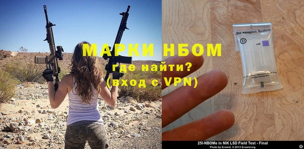 гашик Ельня