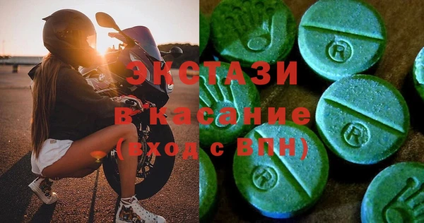 гашик Ельня