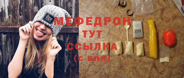 гашик Ельня