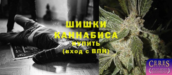 хмурый Дмитровск