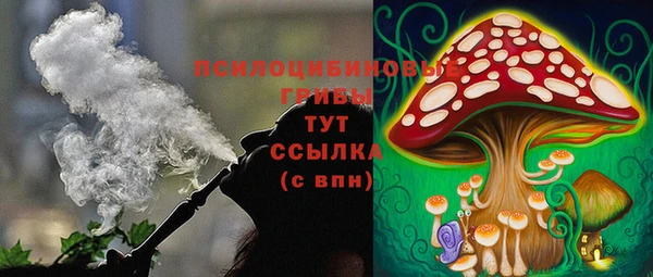 гашик Ельня