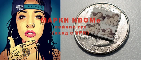 гашик Ельня