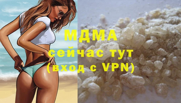 гашик Ельня