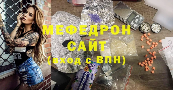 гашик Ельня