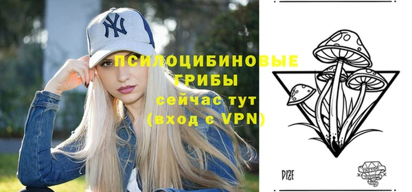 гашик Ельня