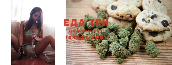 гашик Ельня