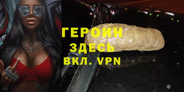 гашик Ельня