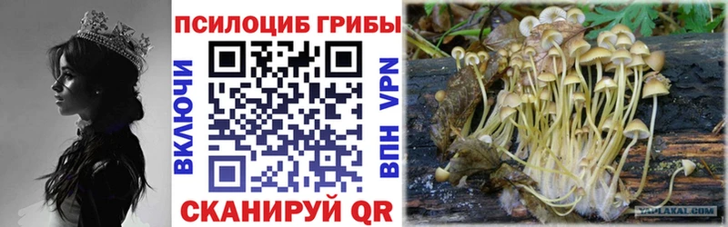 купить наркотики сайты  Пестово  Галлюциногенные грибы мицелий 
